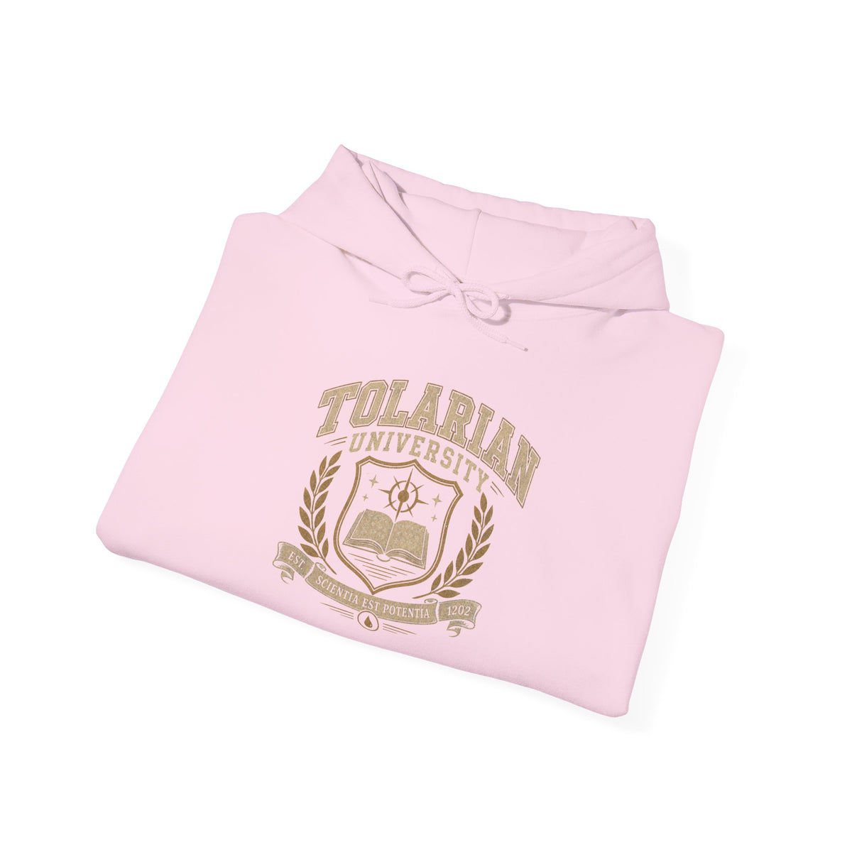 Tolarian University Hoodie — Vintage Magic School Crest Pullover