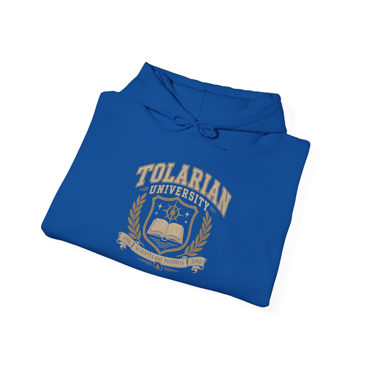 Tolarian University Hoodie — Vintage Magic School Crest Pullover